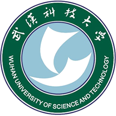 武汉科技大学